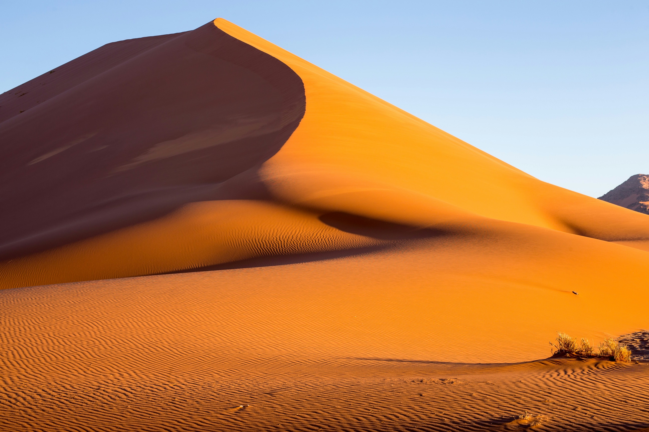 NAMIBIA - Desert and Safari